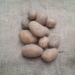 Aardappelen, Mts. Timpelsteed