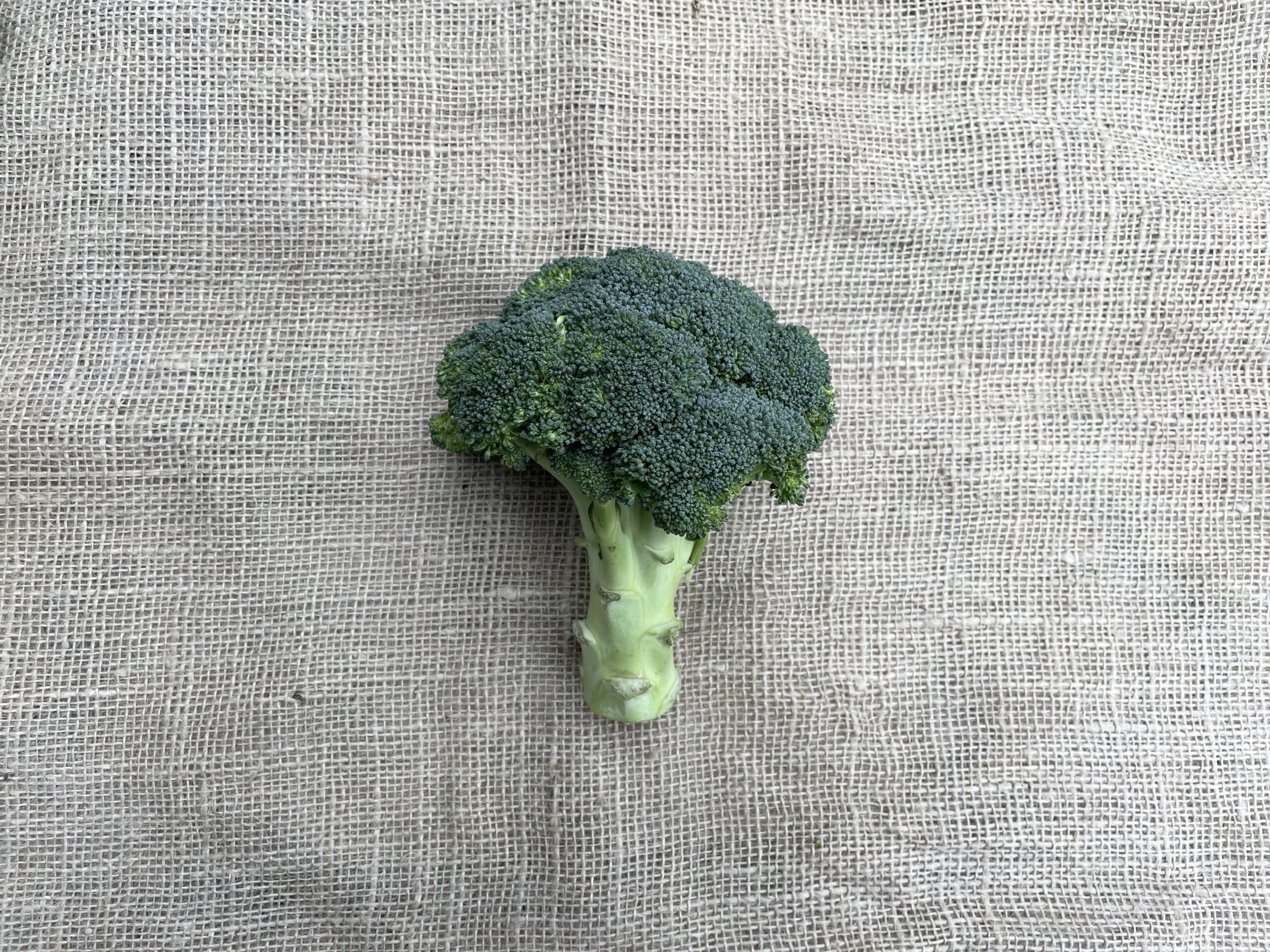 Broccoli, Waddengeluk