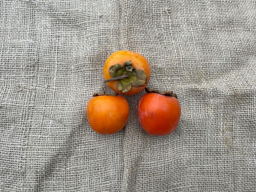 Kaki