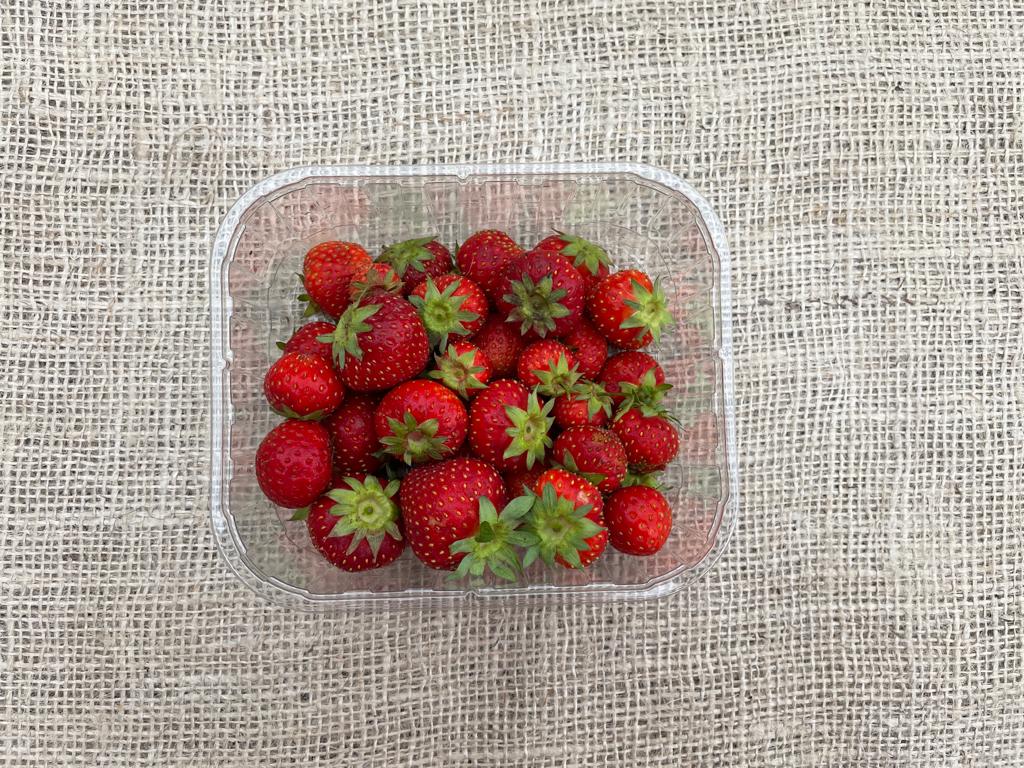 Aardbeien, 2 bakjes, Timpelsteed