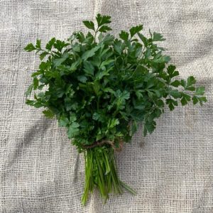 Peterselie, Mts. Timpelsteed