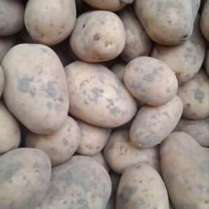 Aardappelen, 10 kg, Timpelsteed
