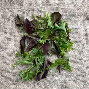 Slamix / mesclunsla, Timpelsteed