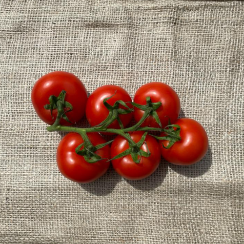 Tomaten, Nederlands