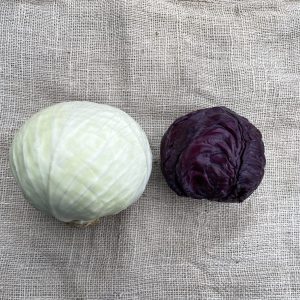 Kool, savooie Timpelsteed