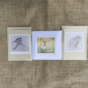 Kaarten, Mique de Boer, Engwierum