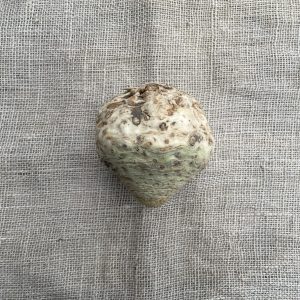 Knolselderij, Bakker Bio (Gr.)