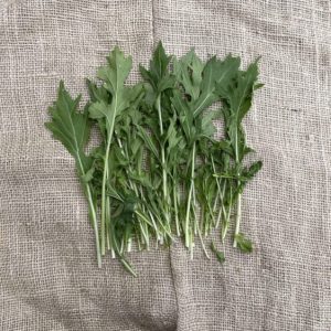 Raapsteel, Timpelsteed