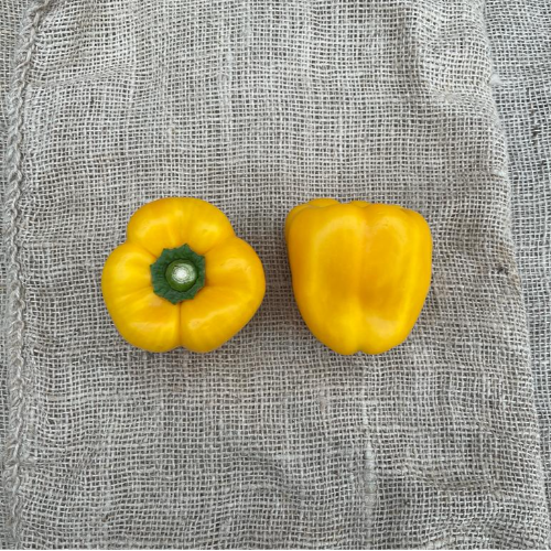 Gele paprika