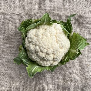 Bloemkool, Bakker Bio