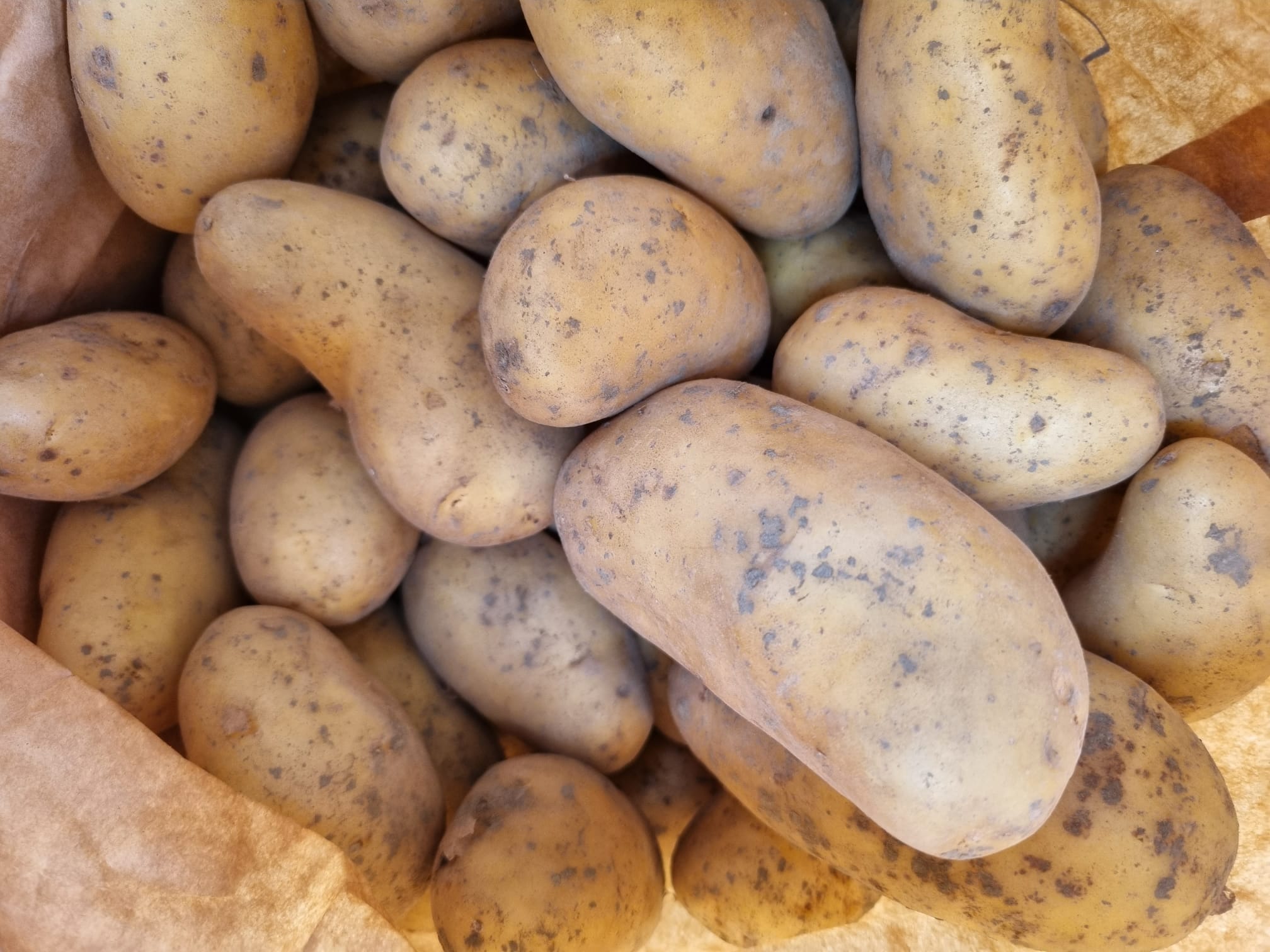 Aardappelen, Mts. Timpelsteed
