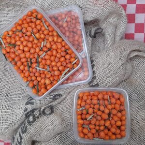 Ús nijskjirrigheden!