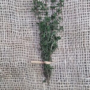 Tijm vers, bosje, Timpelsteed