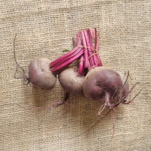 Rode bieten, Timpelsteed