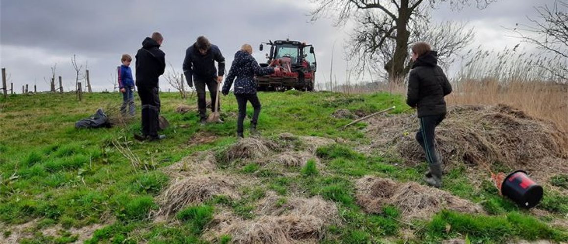 0_0_0_0_250_188_csupload_71137439_large