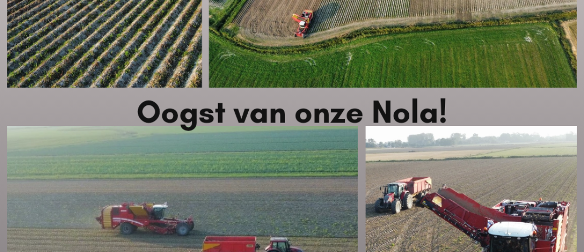 Oogst van onze Nola!_20240921_225345_0000