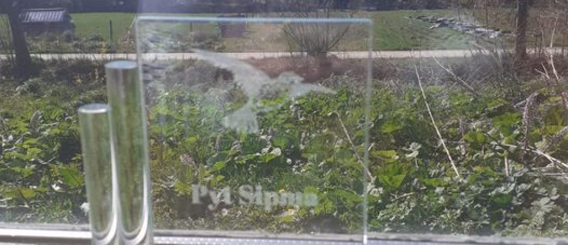 Waadrane foto Jildou