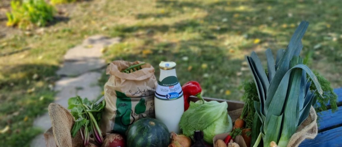 WhatsApp Image 2022-10-10 at 01.49.45