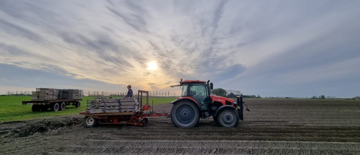 WhatsApp Image 2023-05-17 at 19.35.35